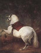 Diego Velazquez A White Horse (df01) oil painting picture wholesale